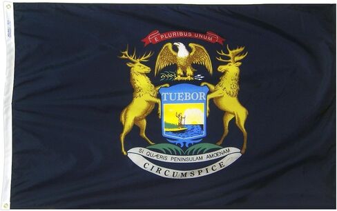 Annin Flagmakers Michigan State Flag USA-Made to Official State Design Specifications, 4 x 6 Feet (Model 142670) in Saudi Arabia