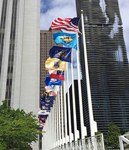 Annin Flagmakers Michigan State Flag USA-Made to Official State Design Specifications, 4 x 6 Feet (Model 142670) in Saudi Arabia
