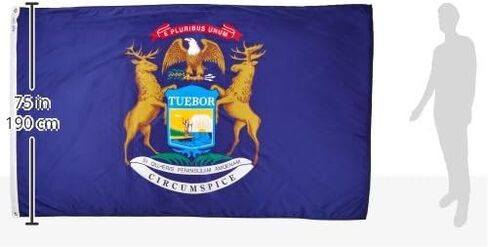 Annin Flagmakers Michigan State Flag USA-Made to Official State Design Specifications, 4 x 6 Feet (Model 142670) in Saudi Arabia