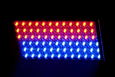 ADJ Products PROFILE PANEL RGBA LED Lighting in Saudi Arabia