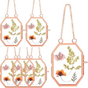 Marsui Set of 6 Double Glass Frame for Pressed Flowers 2.5 x 3.5 Inch Hanging Glass Photo Frame Octagon Dried Flower Photo Frame Small Gold Floating Picture Frames for Kids Artwork Plant Specimen