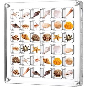 Acrylic Magnetic Seashell Display Box, 36 Grids Clear Seashell Storage Box Jewelry Display Cases Container Small Craft Organizer Holder for Bead Nail Jewelry Small Seashell Starfish in Saudi Arabia