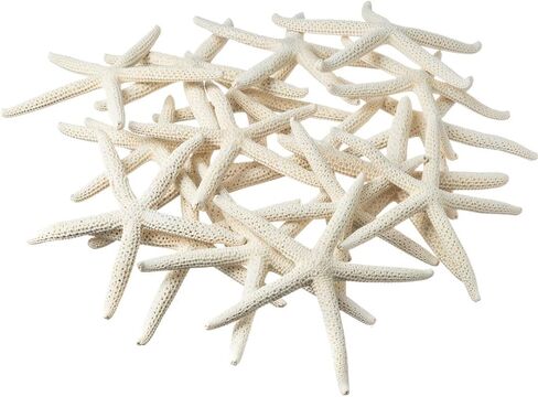 Starfish | White Finger Starfish 4"-6" | Home Decor - Art & Crafts | Plus Free Nautical E-Book by Joseph Rains (10 Pack White, Blue & Green) in Saudi Arabia