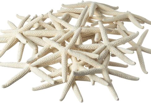 Starfish | White Finger Starfish 4"-6" | Home Decor - Art & Crafts | Plus Free Nautical E-Book by Joseph Rains (10 Pack White, Blue & Green) in Saudi Arabia