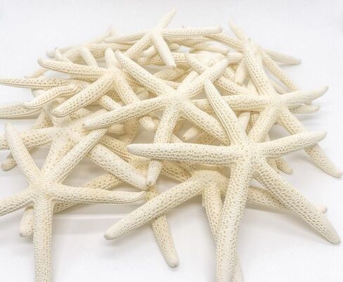 Starfish | White Finger Starfish 4"-6" | Home Decor - Art & Crafts | Plus Free Nautical E-Book by Joseph Rains (10 Pack White, Blue & Green) in Saudi Arabia