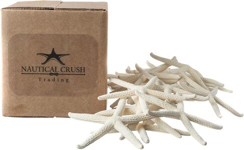 Starfish | White Finger Starfish 4"-6" | Home Decor - Art & Crafts | Plus Free Nautical E-Book by Joseph Rains (10 Pack White, Blue & Green) in Saudi Arabia