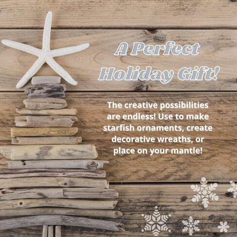 Starfish | White Finger Starfish 4"-6" | Home Decor - Art & Crafts | Plus Free Nautical E-Book by Joseph Rains (10 Pack White, Blue & Green) in Saudi Arabia