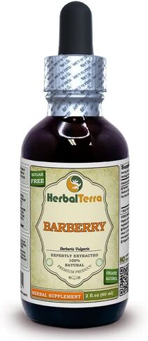 Barberry (Berberis Vulgaris) Glycerite, Organic Dried Root Bark Alcohol-FREE Liquid Extract 2 oz in Saudi Arabia