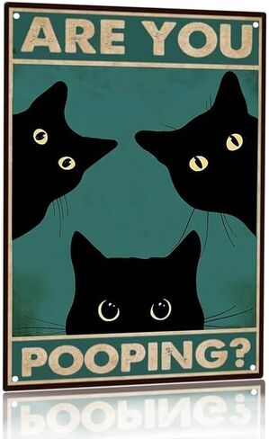 هل أنت أنبوب أسود القط الفن المرحاض ديكور مضحك كيتي القصدير علامة معدنية خمر جدار الرجعية للمنزل الحمام بار مزرعة لوحة 8x12 بوصة in Kuwait
