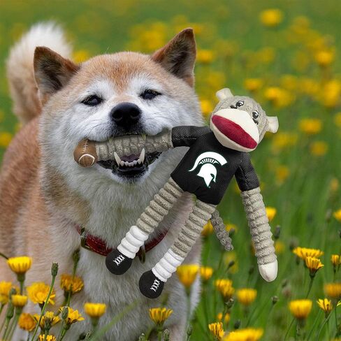 مجموعة ألعاب الحيوانات الأليفة من Littlearth للبالغين من الجنسين NCAA Michigan State Spartans Sock Monkey والقرص الطائر، لون الفريق، مقاس واحد in Saudi Arabia
