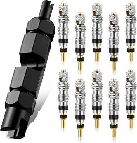Frienda Valve Core Remover Tool Kit Bicycle Valve Core Tightening Tool and 10 Pieces Valve Cores Brass for Bike Bicycle Tire Application in Saudi Arabia