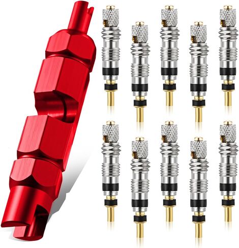 Frienda Valve Core Remover Tool Kit Bicycle Valve Core Tightening Tool and 10 Pieces Valve Cores Brass for Bike Bicycle Tire Application in Saudi Arabia