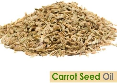 Cotton Seed Oil|100% Pure & Natural Undiluted Carrier Oil Organic Standard for Skin & Haircare|Deals Aging Signs, Used in Facial Oil,Shampoo,Nourishes Scalp-30ml in Saudi Arabia