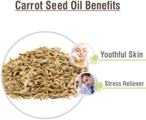 Cotton Seed Oil|100% Pure & Natural Undiluted Carrier Oil Organic Standard for Skin & Haircare|Deals Aging Signs, Used in Facial Oil,Shampoo,Nourishes Scalp-30ml in Saudi Arabia