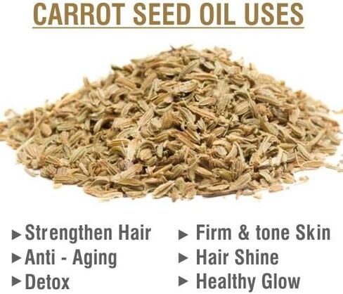 Cotton Seed Oil|100% Pure & Natural Undiluted Carrier Oil Organic Standard for Skin & Haircare|Deals Aging Signs, Used in Facial Oil,Shampoo,Nourishes Scalp-30ml in Saudi Arabia