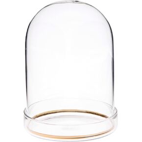 Plymor 5.5" x 13" Glass Display Dome Cloche with Gold Rim (Clear Glass Tray Base)