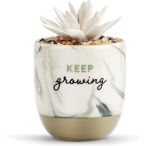 Demdaco Keep Growing Succulent Marbled Grey 4.5 x 3 Ceramic Oil Diffuser