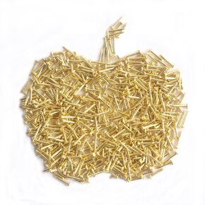 1 * 10mm 500pcs Small Nails Iron Nail for Picture Nails for Picture Hanging Woodworking Furniture DIY Decorative Nails Small Golden