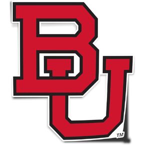 Desert Cactus Boston University Sticker Terriers BU Vinyl Decal Laptop Water Bottle Car Scrapbook (IND 14)