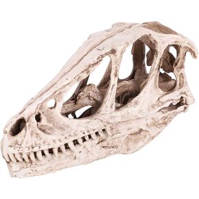 Fdit Resin Dinosaur Skull Model Simulated Animal Skeleton Home Office Decor Craft Teaching Prop