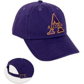 Desert Cactus Alcorn State University Baseball Hat ASU Braves Brimmed Embroirderd Cap Adjustable Cloth Strap Adult (Style A) Purple