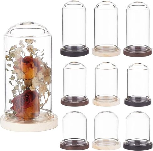 BENECREAT 15 Sets Mini Clear Glass Cloche Dome 1.5/2/2.3 Inch Glass Display Cloche Dome with 3 Colors Solid Wood Base Cloche Bell Jar for Flower Decorations Crafts in Saudi Arabia