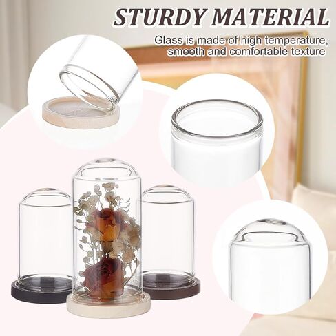 BENECREAT 15 Sets Mini Clear Glass Cloche Dome 1.5/2/2.3 Inch Glass Display Cloche Dome with 3 Colors Solid Wood Base Cloche Bell Jar for Flower Decorations Crafts in Saudi Arabia