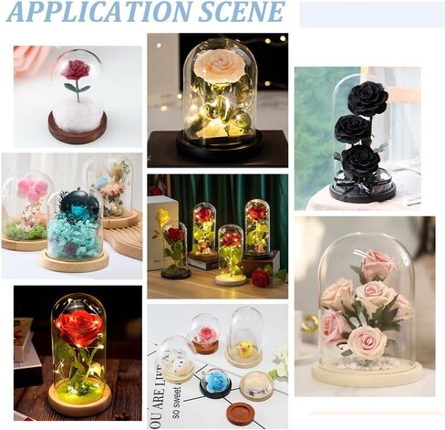 BENECREAT 15 Sets Mini Clear Glass Cloche Dome 1.5/2/2.3 Inch Glass Display Cloche Dome with 3 Colors Solid Wood Base Cloche Bell Jar for Flower Decorations Crafts in Saudi Arabia
