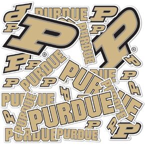 Desert Cactus Purdue University Stickers Vinyl Decals Laptop Water Bottle Car Scrapbook T1 (Type 1-1)