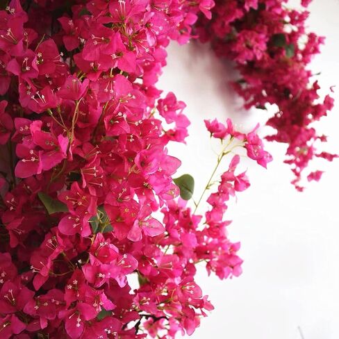 40Pcs in Bulk Artificial Bougainvillea Silk Flowers Branches Long Plant Stems 45" for Wedding Centerpieces, Bussiness Decoration Project, Indoor & Outdoor Decoration (Cream White - 40Pcs) in Saudi Arabia