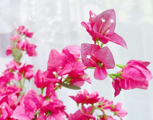 40Pcs in Bulk Artificial Bougainvillea Silk Flowers Branches Long Plant Stems 45" for Wedding Centerpieces, Bussiness Decoration Project, Indoor & Outdoor Decoration (Cream White - 40Pcs) in Saudi Arabia