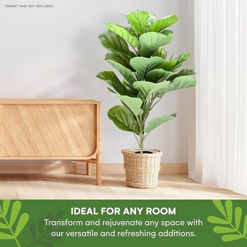 شجرة التين المصنوعة من أوراق الكمان الاصطناعية من Flybold - أوراق صناعية واقعية في سلة سوداء - عنصر زخرفي نابض بالحياة للمنازل والمكاتب والفنادق والمطاعم - ديكور نباتي داخلي مع وعاء - 6.2 بوصة × 31.4 بوصة in Kuwait