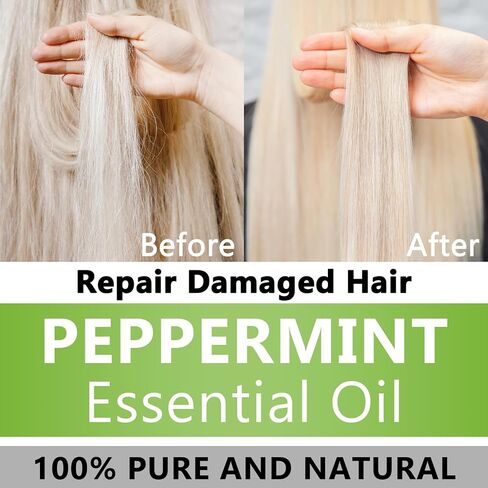 Lavender Essential Oil 100% Pure & Natural Organic (1 Fl. Oz) for Humidifiers, Skin Care, Massage, Aromatherapy, Premium Delicate Grade with Glass Dropper for Air Freshening, Cleaning, Home in Saudi Arabia