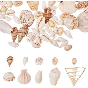 PH PandaHall 10 kinds Small Sea Shell, 250g Ocean Beach Spiral Seashells Craft Charms with 1~2mm Hole for Candle Making, Home Decoration, Beach Theme Party Wedding Decor, Fish Tank Vase Filler