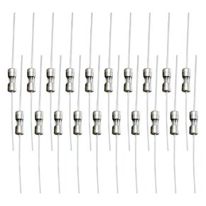 Fielect 20Pcs Glass Tube Fuses Axial with Lead Wire Slow-Blow 3.6x10mm 0.25A 250V Time Delay Fuses for Replacing or Repairing Many Home Electronics (T0.25A)