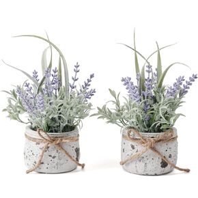 Small Fake Plants, 2 Pack Mini Artificial Plants Fake Lavender Plant in Pot, Lavender Decor and Dining Room Desk Shelf Bathroom Living Room (A-2pcs)