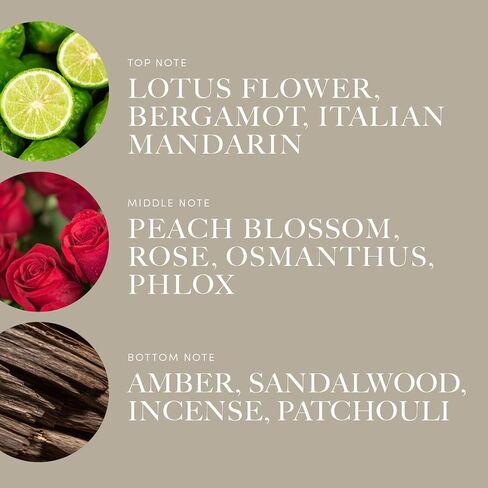 Aroma360 | Heat Elite (Cashmere & Dark Rose) Oil Blend | Miami Heat Edition Essential Diffuser Oil | Aromatherapy Scent Diffuser Oil | Italian Mandarin, Peach Blossom and Patchouli 1.7 fl oz, 50 mL in Saudi Arabia