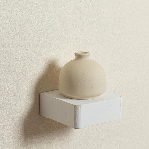 Freezing point Small Floating Shelf,Mini Wall Shelves for Kitchen Bedroom Living Room Bathroom Wall Decor Plant Display Collectibles Corner Decorative Storage Tiny Black in Saudi Arabia