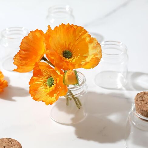 زجاجات زجاجية دائرية مزخرفة من ماجيك سيزون مع سدادات من الفلين (6 قطع / 1.7 أونصة سائلة) in Kuwait