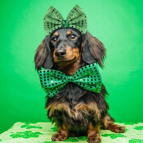 GenMo 4 Pack St Patrick Day Headband Green Shamrock Clover Head Boppers Costume Accessories Red in Saudi Arabia