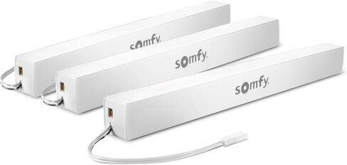 somfy Rechargeable Battery Pack for External Battery Wirefree Motors - Year-Round Power for RTS Motorized Shades, Curtains, Awnings - Charge Once a Year - #9021217 in Saudi Arabia