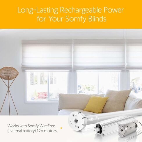 somfy Rechargeable Battery Pack for External Battery Wirefree Motors - Year-Round Power for RTS Motorized Shades, Curtains, Awnings - Charge Once a Year - #9021217 in Saudi Arabia