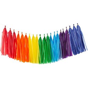 35Pcs Rainbow Tassel Garland Tissue Paper Tassel Banner Decoration for Wedding, Baby Shower,Birthday, Group Activities and Games