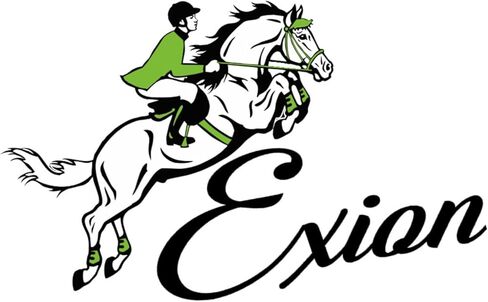 Exion Designer Soft Lined Figure 8 English Bridle for Horses | Anatomic Broad Monocrown head Piece | Adjustable Noseband with Jaw Pad and Rubber Rein | Horses Jumping Bridle in Kuwait