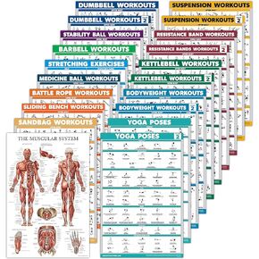 Palace Learning 20 Pack - Exercise Workout Poster Set: Dumbbell, Suspension, Battle Rope, Stretching, Bodyweight, Barbell, Yoga, Exercise Ball, Kettlebell, Resistance Bands and More