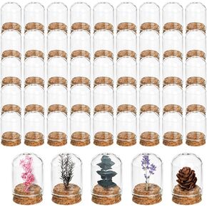 50 Pack Cloche Bell Jar, Mini Glass Jars with Cork Lids, 8ml Glass Dome Cloche with Base, Decorative Display Dome for Specimen, Flower Storage, Arts Dispaly, Party Favor