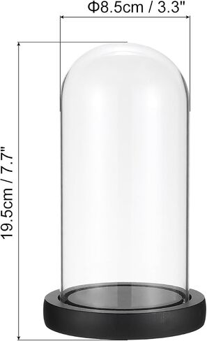 باتيكل 3.3 × 7.7 بوصة زجاج عرض قبة قاء زجاجي، جرة جرس عرض مزخرفة مع قاعدة إضاءة LED للنباتات، ميداليات شموع قابلة للتجميع، أسود in Saudi Arabia