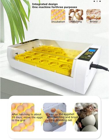 110V 24 Eggs Incubator Full Automatic Incubator with LCD Display Automatic Temperature and Humidity Control Incubator for Hatching Eggs in Saudi Arabia