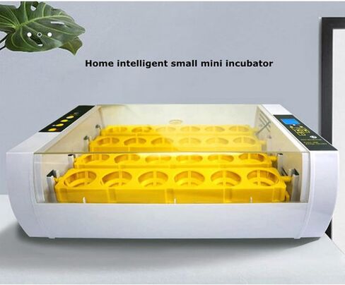 110V 24 Eggs Incubator Full Automatic Incubator with LCD Display Automatic Temperature and Humidity Control Incubator for Hatching Eggs in Saudi Arabia