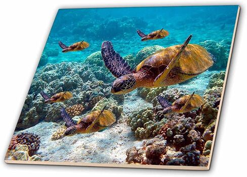 3dRose ct_26850_4 Sea Turtles Ceramic Tile, 12-Inch in Saudi Arabia